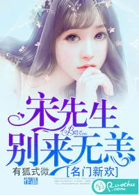 《名门新欢:宋先生别来无恙》小说封面