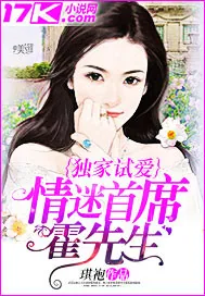 《独家试爱：情迷首席霍先生》小说封面