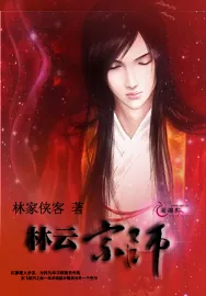 《林云宗师》小说封面