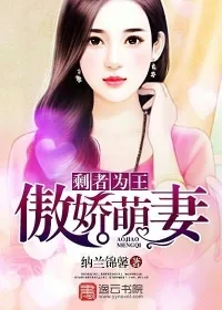 《剩者为王：傲娇萌妻》小说封面