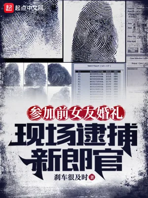 《参加前女友婚礼，现场逮捕新郎官》小说封面