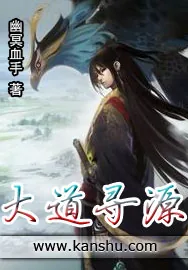 《大道寻源》小说封面