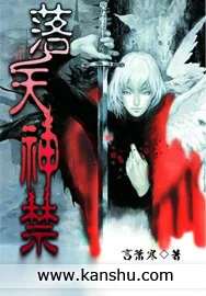 《落天神禁》小说封面