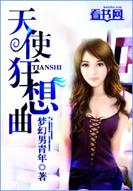 《天使狂想曲》小说封面