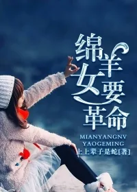 《绵羊女要革命》小说封面