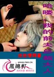 《哈喽，我的前夫总裁大人》小说封面