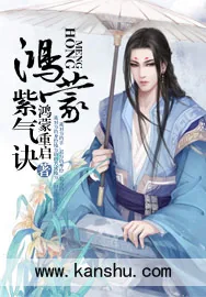 《鸿蒙紫气诀》小说封面