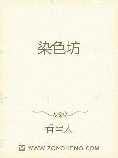 《染色坊》小说封面