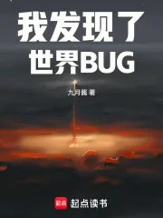 《我发现了世界BUG》小说封面
