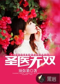《圣医无双》小说封面