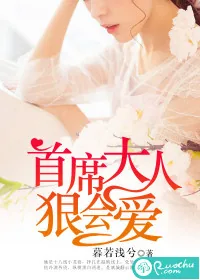 《首席大人,狠会爱》小说封面