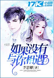 《如果没有与你相遇》小说封面