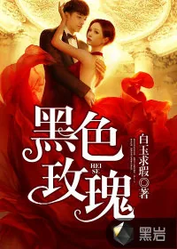 《黑色玫瑰》小说封面