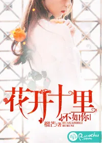 《花开十里，不如你》小说封面