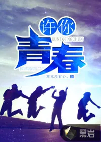 《许你青春》小说封面