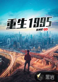 《重生1995》小说封面