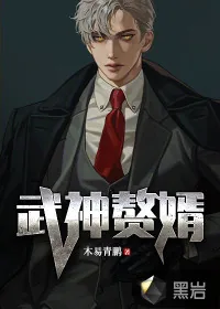 《武神赘婿》小说封面