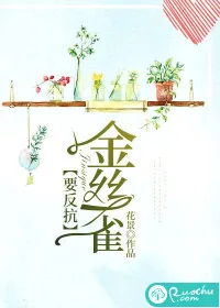 《金丝雀要反抗》小说封面