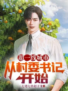 《超一线城市:从村委书记开始》小说封面