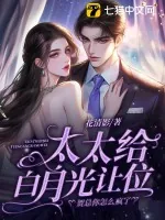 《太太给白月光让位，贺总你怎么疯了》小说封面