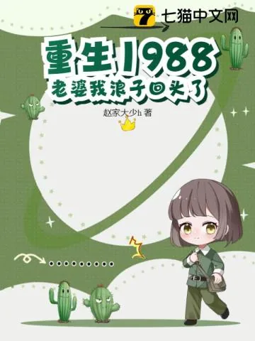 《重生1988老婆我浪子回头了》小说封面