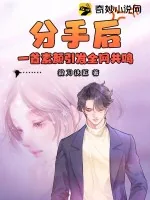 《分手后，一首素颜引发全网共鸣》小说封面