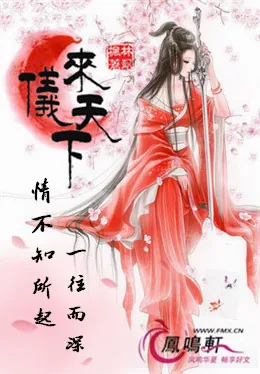 《来仪天下》小说封面