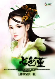 《七色堇》小说封面