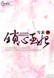 《锁心王妃》小说封面