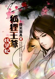 《狐狸王爷妖孽妃》小说封面