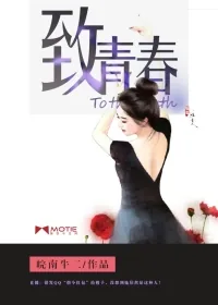 《致青春》小说封面