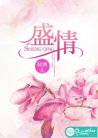 《盛情》小说封面
