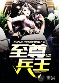 《至尊兵王》小说封面