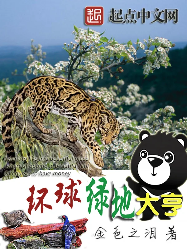 《环球绿地大亨》小说封面