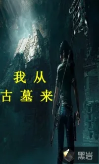 《我从古墓来》小说封面