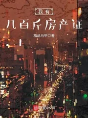 《我有几百斤房产证》小说封面
