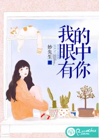 《我的眼中有你》小说封面