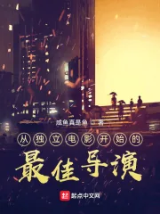 《从独立电影开始的最佳导演》小说封面