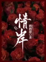 《情岸》小说封面