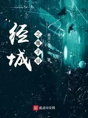 《经城之雁子谷》小说封面