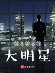《我就是想当大明星》小说封面