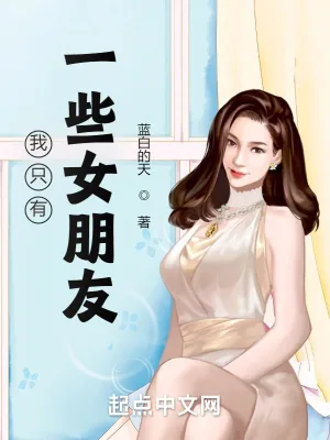 《我只有一些女朋友》小说封面