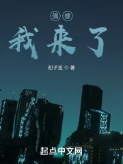 《偶像，我来了！》小说封面