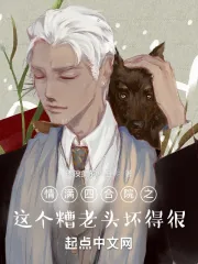 《情满四合院之,这个糟老头坏得很》小说封面