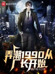 《弄潮1990从厂长开始》小说封面