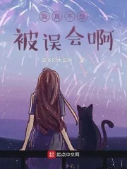 《我真不想被误会啊》小说封面