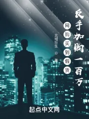 《网购买到假货，反手加购一百万！》小说封面