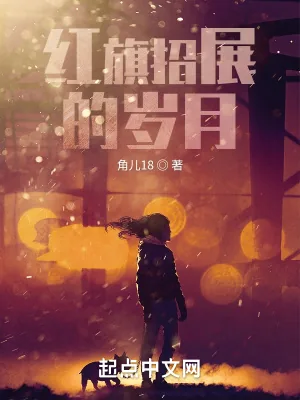 《红旗招展的岁月》小说封面