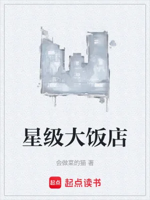 《星级大饭店》小说封面