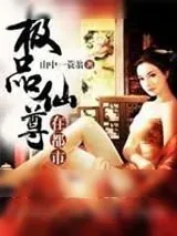 《极品仙尊在都市》小说封面